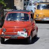 Burgio_2009 (395)